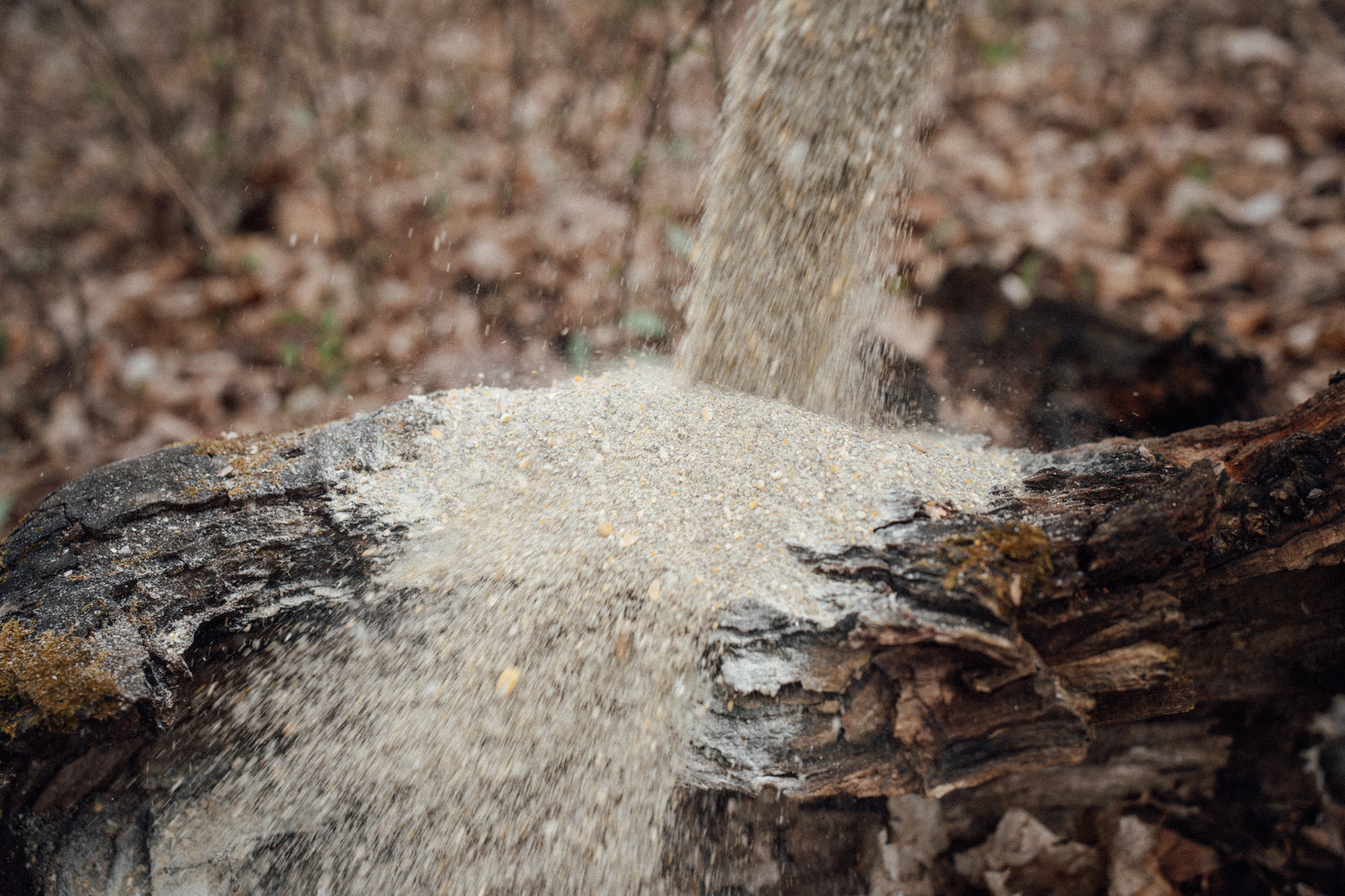 Pay Dirt is a combination of a powerful attractant as well as a nutritional supplement.